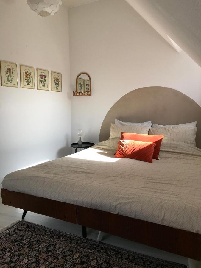 Vegan B&B De Veensezolder 费嫩达尔 外观 照片